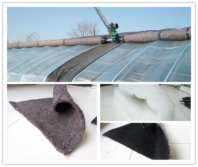 大棚棉被卷下去了