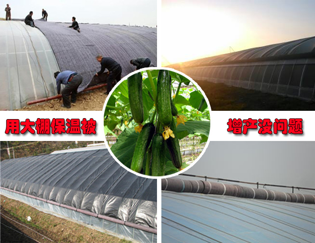 養(yǎng)殖大棚棉被初步安裝視頻