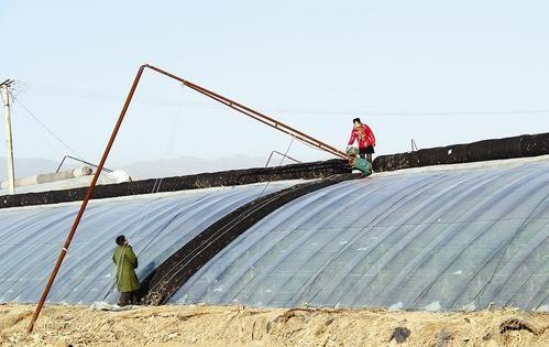 �����ޱ������C��ô���b