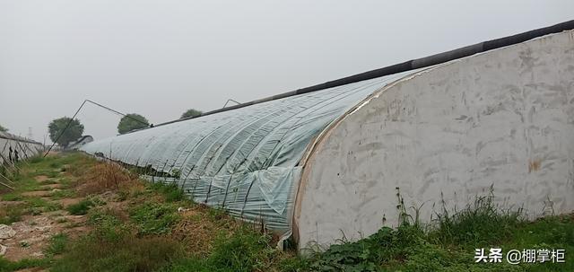 大棚棉被怎樣卷起來