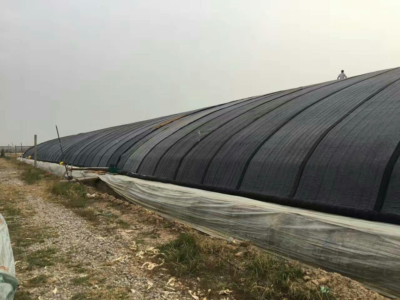 �L���д����ޱ��S�����l(f��)�r��