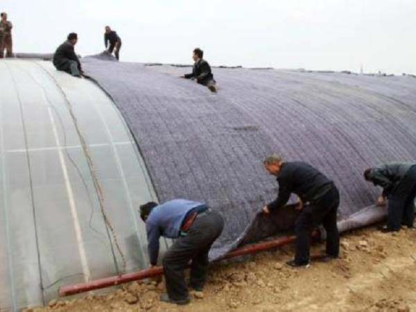 人工上大棚棉被有什么好辦法